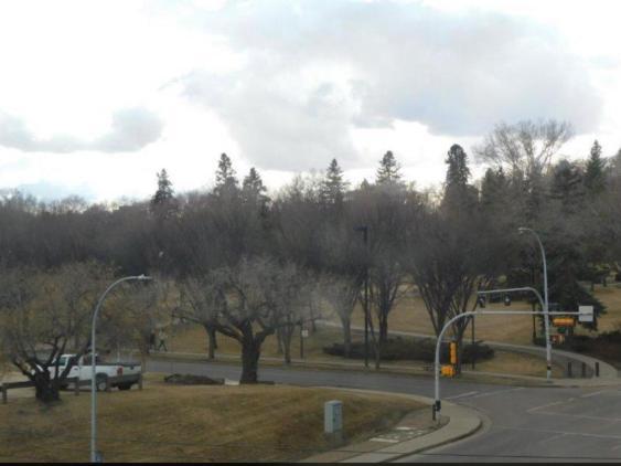 Downtown River Valley Bachelor Suite Condo, Non Smoking, 12 Inches Queen Bed, Beautiful Minimalist, Very Convenient Every Where Έντμοντον Εξωτερικό φωτογραφία